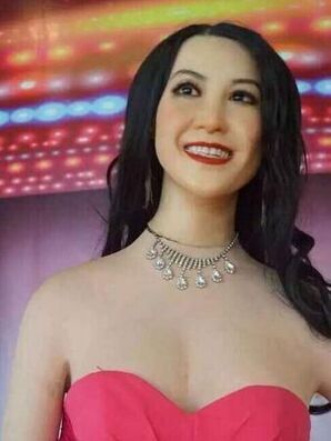 泸州张坝景区现巨丑明星蜡像 涉嫌侵权可能吃官司