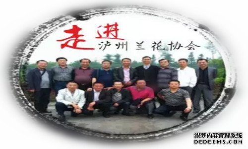 泸州兰花协会引领“春兰之都”再芬芳