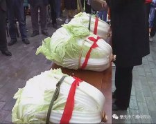 广东肇庆惊现“天价”白菜 三棵真大白菜卖了1830元！