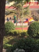 重庆丰都朝华文化公园游乐场一女子从高空被甩落身亡