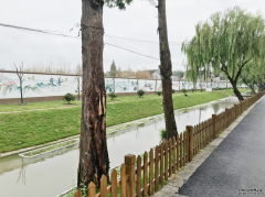 宝山这个村奏响护河“三部曲”，为村级经济发展注入生态动能