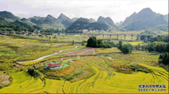 广西南丹：唱响农旅欢歌 舞动南国风情