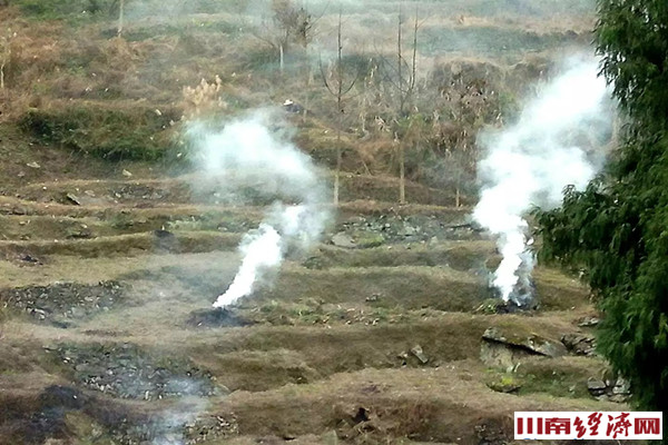 古蔺老家 有一种农活叫腾土