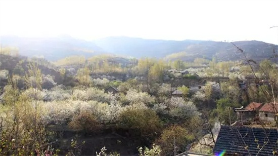 山东沂南五彩庄村:乡村旅游铺就脱贫致富路