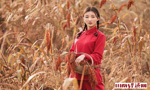 罗志刚：一座蒸馏的城市