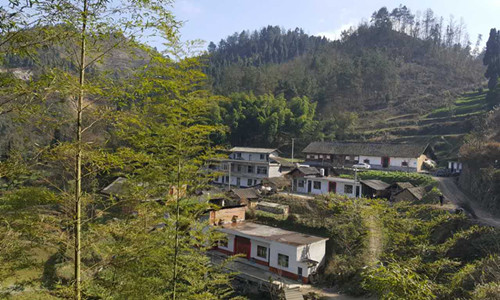 醉美泸州 除了美酒 还有更多乡愁