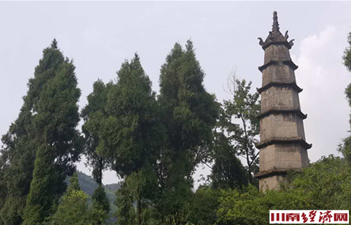 古蔺:丹桂凌云塔 一笔写春秋