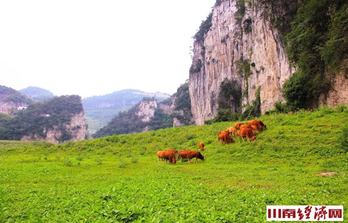 泸州:奇妙山水叙永西湖