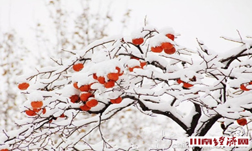 陈大刚：一位泸州人对冬至的别样解读