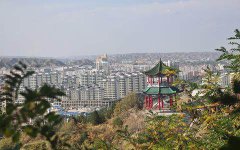 甘肃兰州市最小的一个县,却有个世界第一古梨园