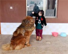 作家洪峰变身年入千万的淘宝店主：放弃是前提