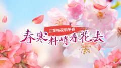 北京：春寒料峭看花去 兰花梅花俏争春