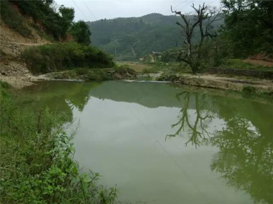 云南两湖入选国家水利风景区