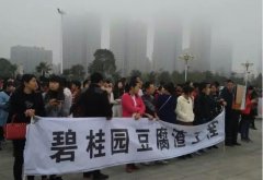 碧桂园质量问题引发全国大面积维权 究竟为那般?