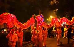 “古蔺首届桂花旅游文化节”专题系列——桂香龙灯