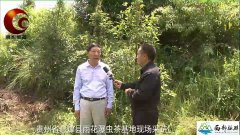 贵州息烽：直播天下旅游栏目摄制组走进息烽西望山