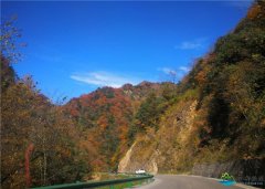 四川南江:米仓山国家森林公园