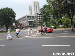 成都居民呼吁取消武侯区洗面桥横街72格奇葩斑马线