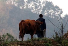 可爱的古蔺网络摄影展