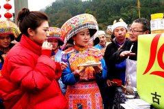 古蔺“老陈蜜”与蜂共酿甜蜜事业