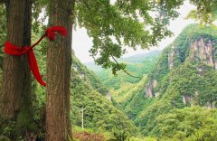 泸州“悬崖下的村庄” 村民盼望有条出行路