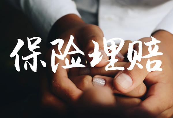 偶然的信任 太平人寿“赔”您幸福向前(图1) 偶然的信任 太平人寿“赔”您幸福向前(图1)