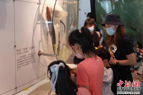 从冷门到热门，这些小众博物馆有啥“吸粉秘籍”？(图1)