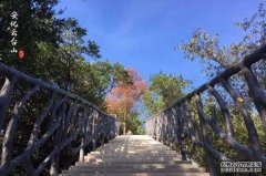 益阳云台山成为乡村旅游的“大热门”