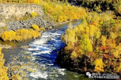 找一个秋天，去趟呼伦贝尔，听秋风轻吟，看骄阳似火